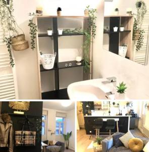 Annonce Location 2 pices Appartement Toulouse 31