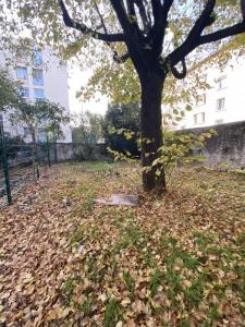 Annonce Vente 3 pices Maison Valence 26