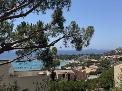 For sale Ajaccio 1 room 27 m2 Corse (20000) photo 0