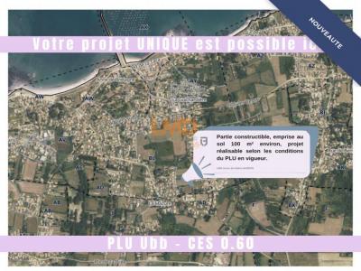 Annonce Vente Terrain Plaine-sur-mer 44