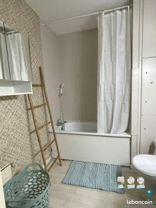 Louer Appartement 41 m2 Saint-etienne