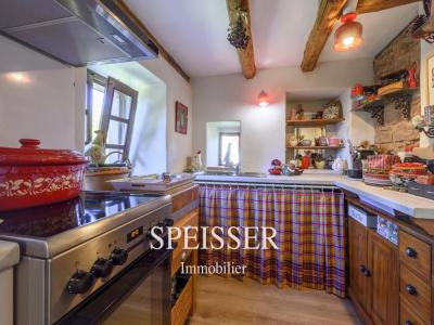 Annonce Vente 2 pices Maison Reichshoffen 67