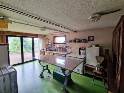 Acheter Maison Thann Haut rhin