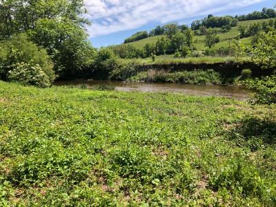 For sale Roybon Roybon 5 rooms 120 m2 Isere (38940) photo 2