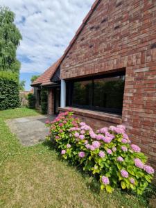 Annonce Vente 6 pices Maison Merignies 59