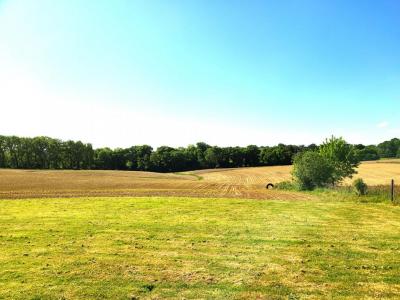 Acheter Maison Montfort-en-chalosse Landes