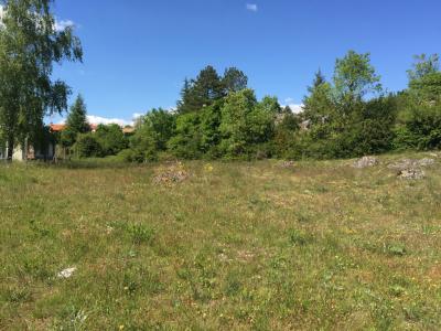 Annonce Vente Terrain Caylar 34