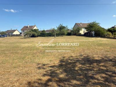 For sale Champagne 2683 m2 Sarthe (72470) photo 0