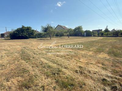 For sale Champagne 2683 m2 Sarthe (72470) photo 1