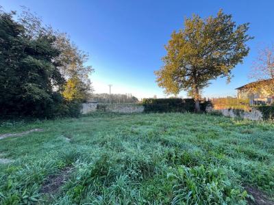 Acheter Terrain Saint-andre-de-cubzac Gironde