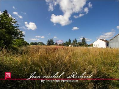 Annonce Vente Terrain Selles-sur-cher 41