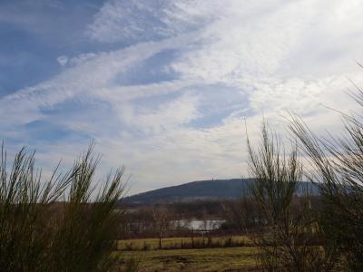 For sale Lachapelle-sous-chaux 1 room 7040 m2 Belfort (90300) photo 0