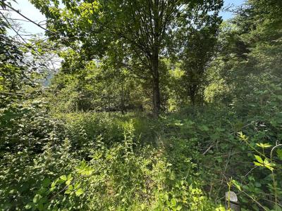 Annonce Vente Terrain Kruth 68