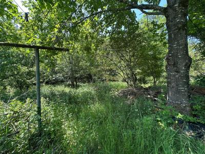 Acheter Terrain 2179 m2 Kruth