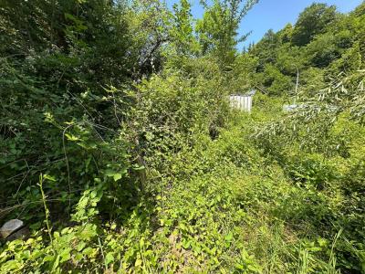 Acheter Terrain Kruth Haut rhin