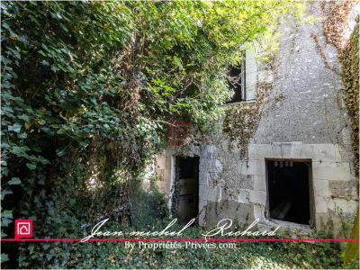 Annonce Vente 4 pices Maison Selles-sur-cher 41