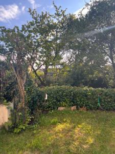 Acheter Maison Coubron 435120 euros