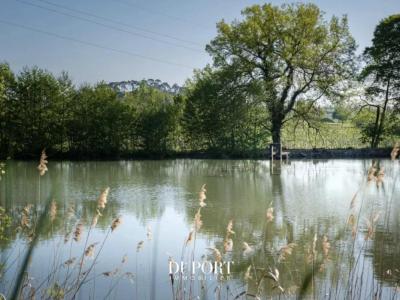 For sale Bordeaux 10 rooms 366 m2 Gironde (33000) photo 4