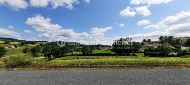 For sale Panissieres 3 rooms 79 m2 Loire (42360) photo 2