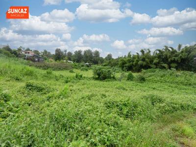 Annonce Vente Terrain Tampon 974