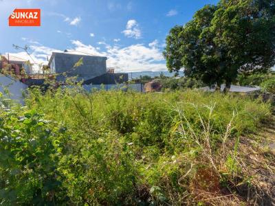 For sale Saint-pierre 288 m2 Reunion (97410) photo 2
