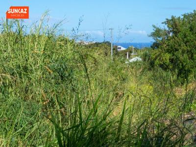 For sale Saint-pierre 288 m2 Reunion (97410) photo 4