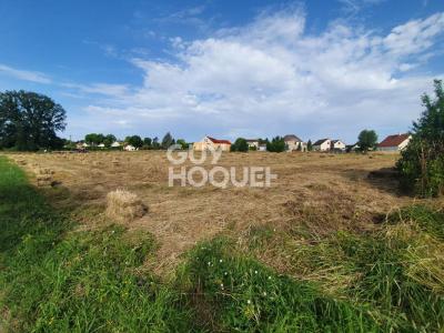 Annonce Vente Terrain Charbuy 89
