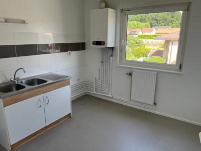Annonce Location 3 pices Appartement Creutzwald 57