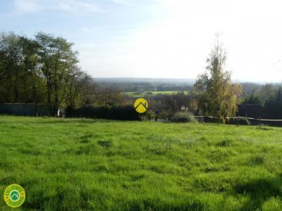 For sale Langeais 1616 m2 Indre et loire (37130) photo 0