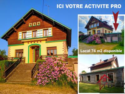 Annonce Vente 10 pices Maison Gerbepal 88