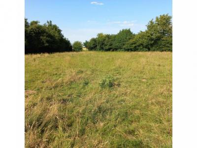 Annonce Vente Terrain Fressin 62
