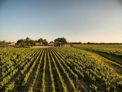 For sale 19 rooms 600 m2 Gironde (33480) photo 2