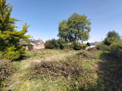 Acheter Maison  43200 euros