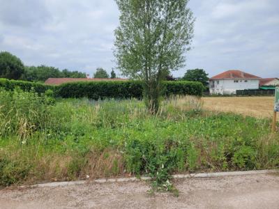 Annonce Vente Maison Lezoux 63