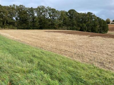 Annonce Vente Terrain Maintenon 28