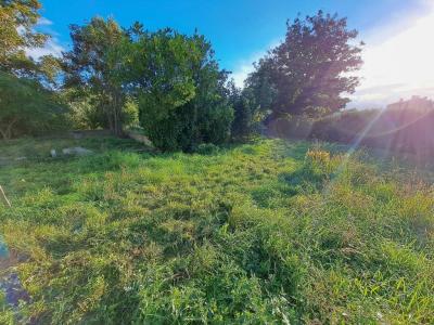 Annonce Vente Maison Martres-de-veyre 63