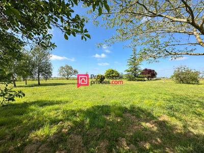 Annonce Vente 4 pices Maison Chinon 37