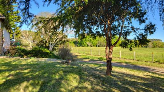 For sale Sourzac 6 rooms 150 m2 Dordogne (24400) photo 4