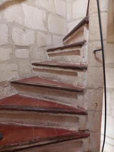 Annonce Location 3 pices Appartement Arles 13