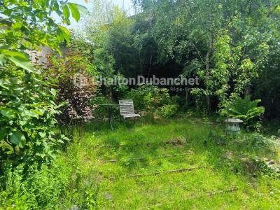 Annonce Vente 5 pices Maison Sainte-colombe-sur-gand 42