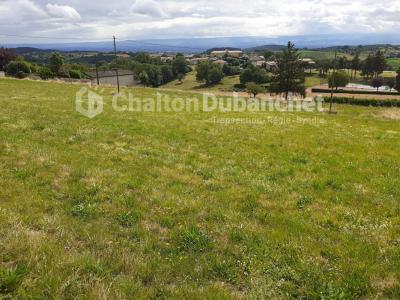 For sale Montchal 2800 m2 Loire (42360) photo 2
