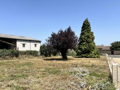 For sale Lucenay 372 m2 Rhone (69480) photo 0