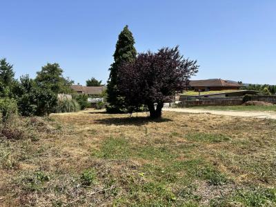 Annonce Vente Terrain Lucenay 69