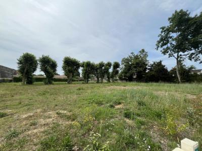 For sale Arbanats 420 m2 Gironde (33640) photo 1