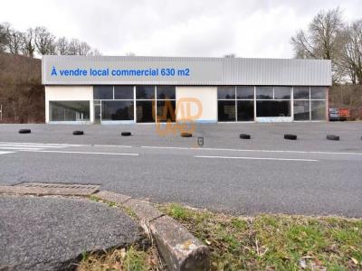 Annonce Vente Local commercial Salles-curan 12