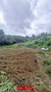 For sale Petite-ile 975 m2 Reunion (97429) photo 1