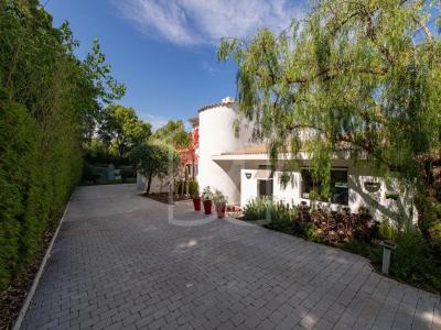 Acheter Maison 265 m2 Villeneuve-loubet