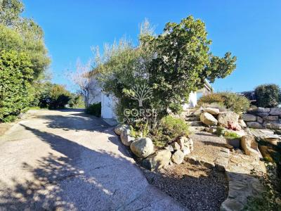Acheter Maison Ventiseri Corse