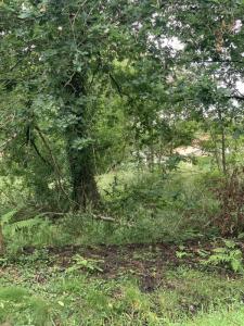 For sale Teich 650 m2 Gironde (33470) photo 0