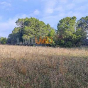 Acheter Terrain 20348 m2 Aigremont